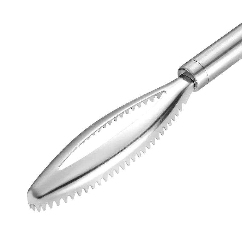 Raspador de Escamas de Pescado - Herramienta de Acero Inoxidable 430