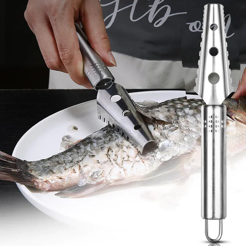 Raspador de Escamas de Pescado - Herramienta de Acero Inoxidable 430