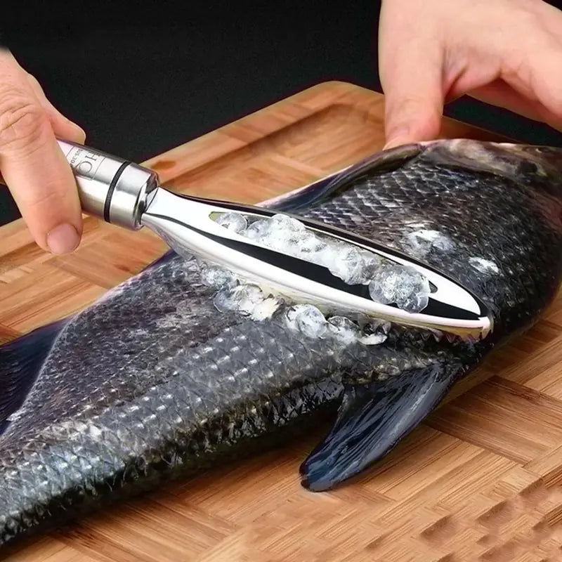 Raspador de Escamas de Pescado - Herramienta de Acero Inoxidable 430
